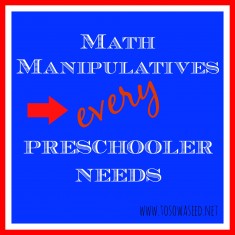 Math Manipulatives Every Preschooler Needs | To Sow a Seed