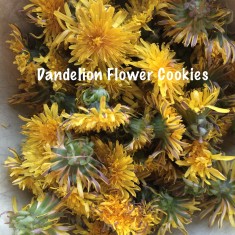 Dandelion Flower Cookies