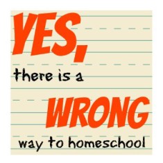 Yes, there is a WRONG way to homeschool