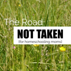 The Road Not Taken {for homeschooling moms}