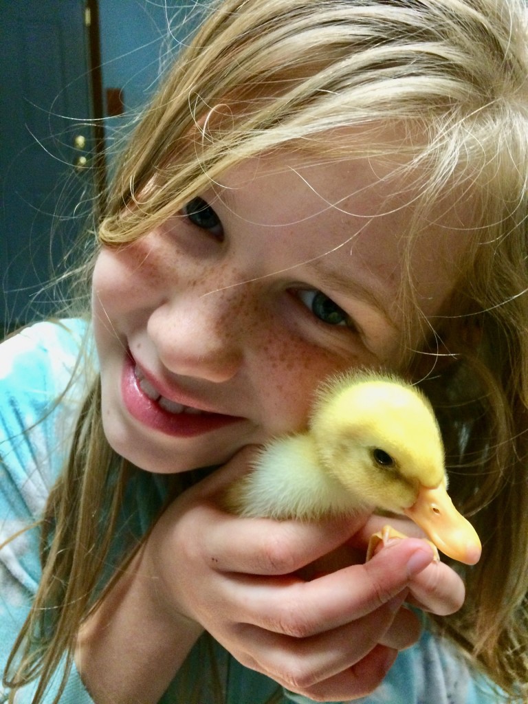 If It Walks Like a Duck