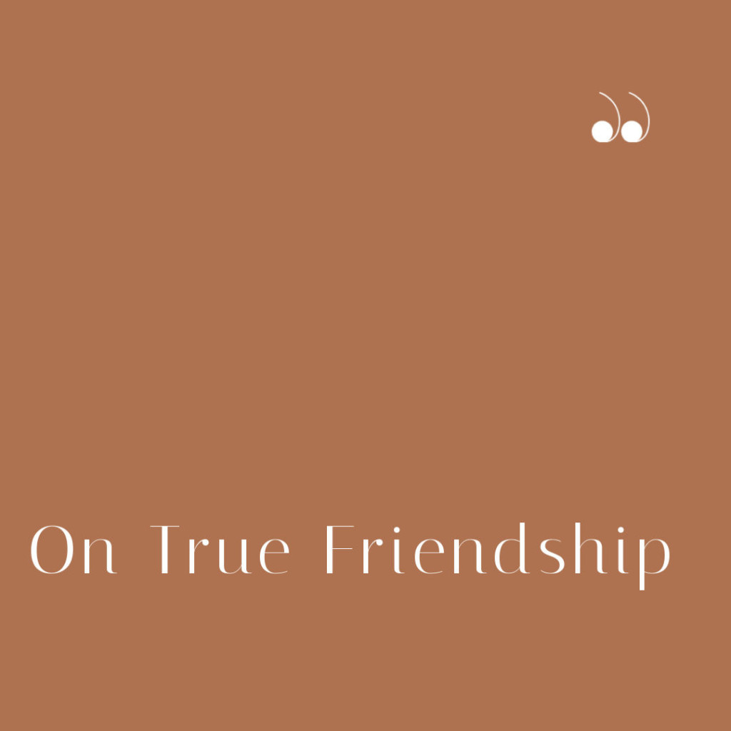 explain the meaning of true friendship