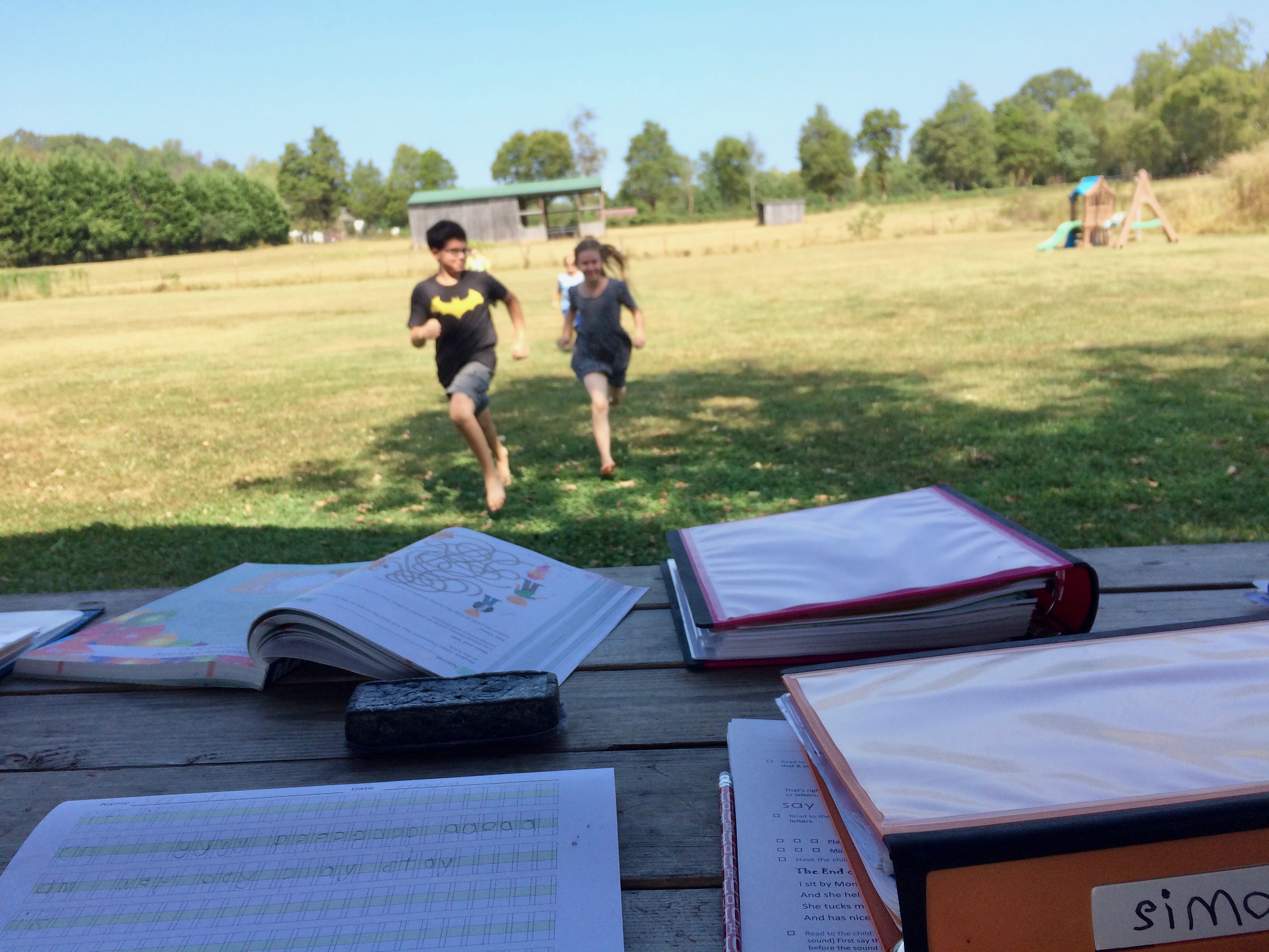 Homeschooling and the Treasure Principle