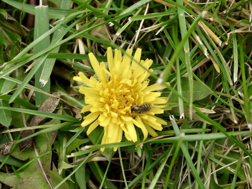 P1600216
