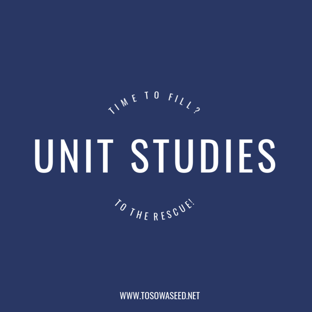 Timt to fill? Unit Studies to the Rescue!