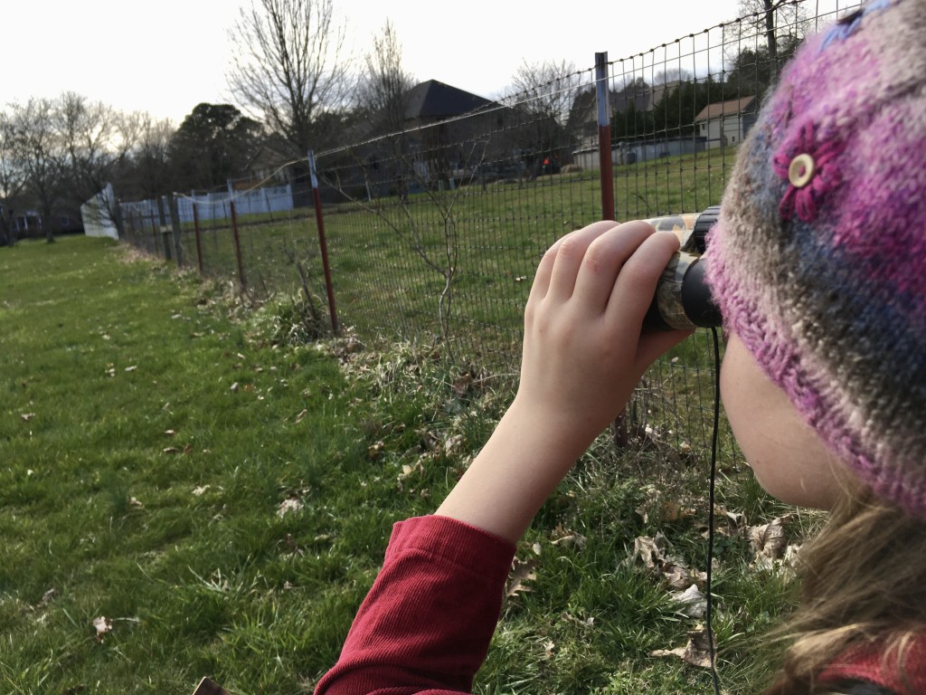 IMG_0410