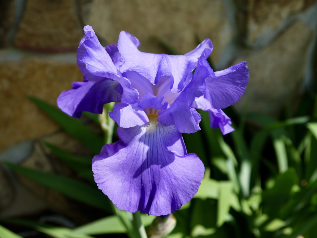 P1610089