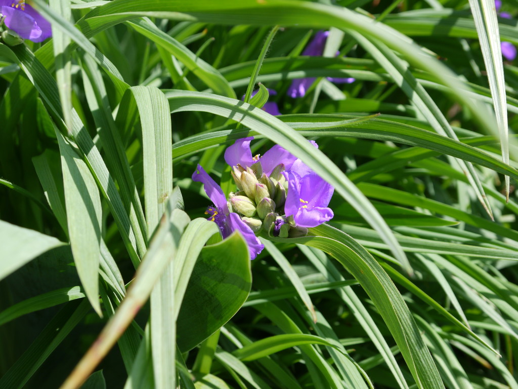P1610092