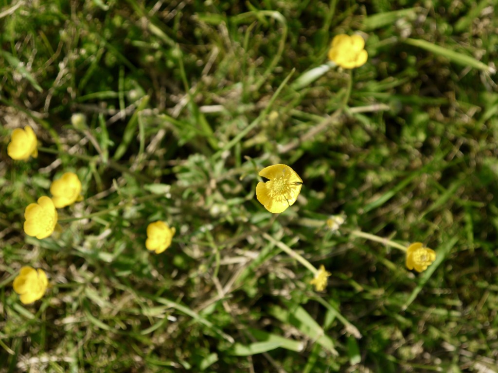 P1610150