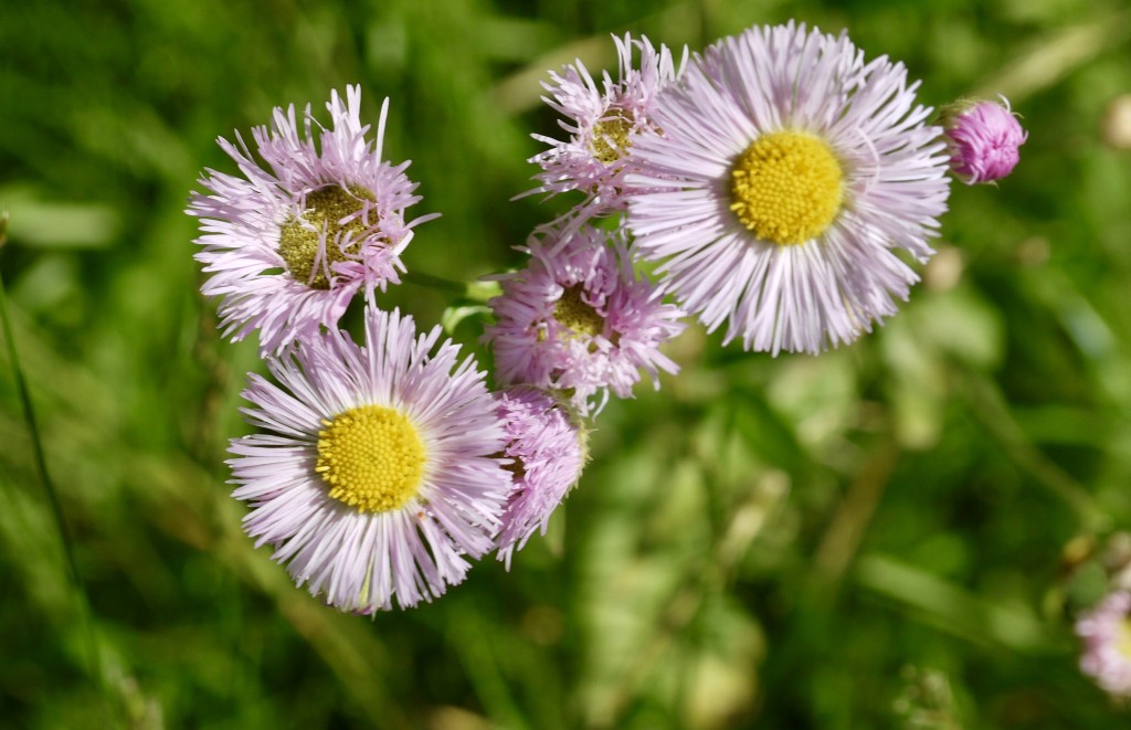 P1610505