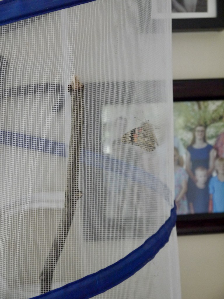 P1610509