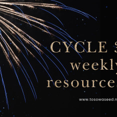 cycle 3 weekly resources