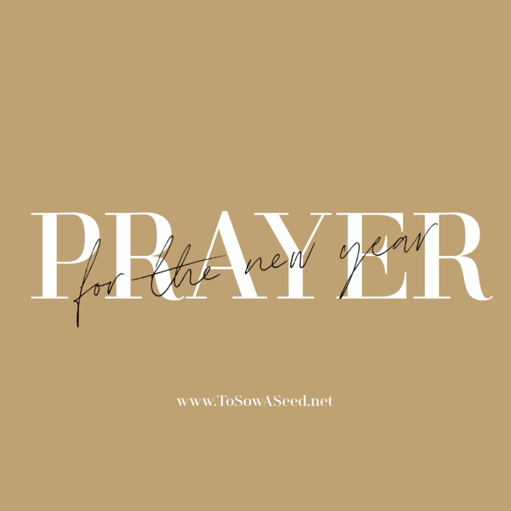 Prayer for the New Year