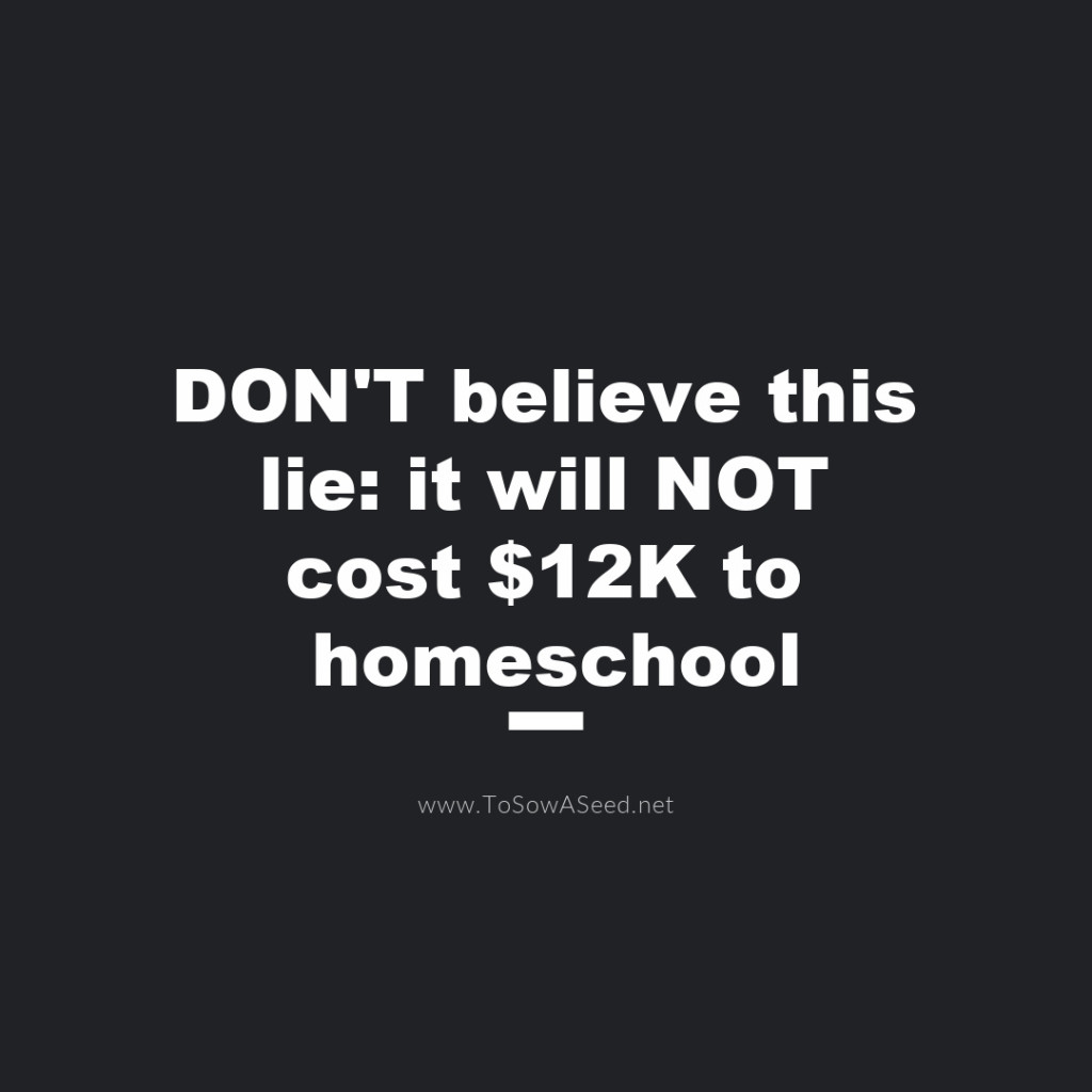 DON'T Believe This Lie: It Will NOT Cost $12K To Homeschool